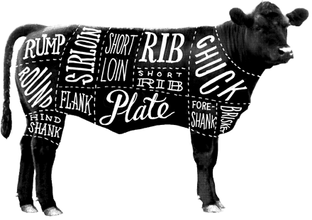 cow parts illustration